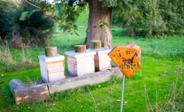 Bienen-Hotel